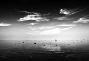 backwaters horizon