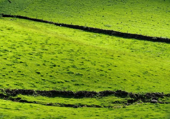 Green irlande