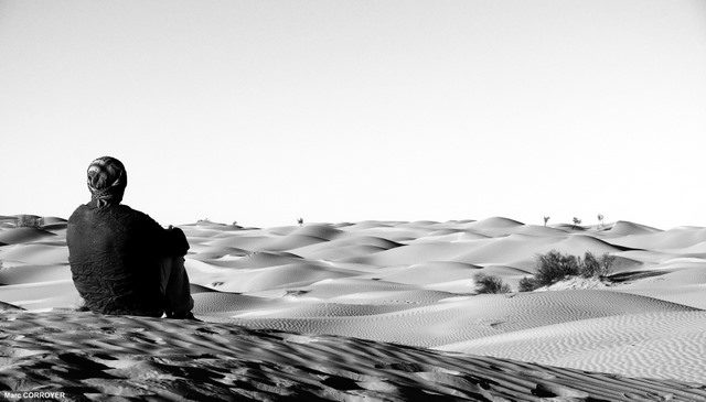 Autoportrait…………