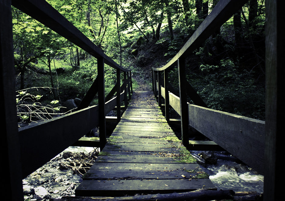 Le petit pont de bois