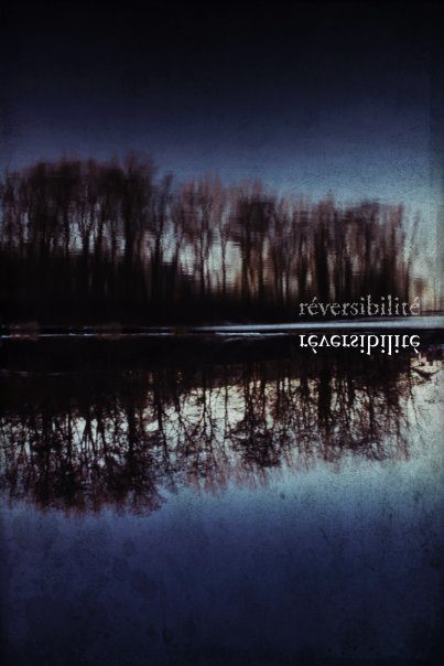 Réversibilité