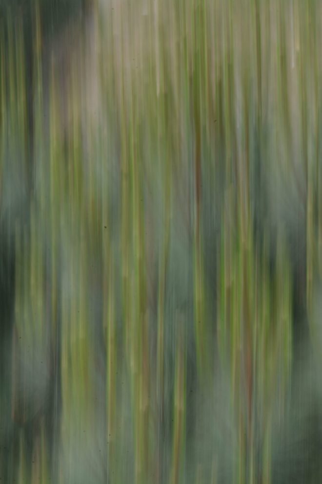 doucement  .... doucement