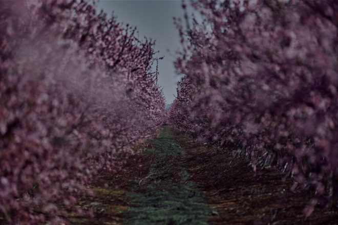 Apercevoir le bout du Chemin