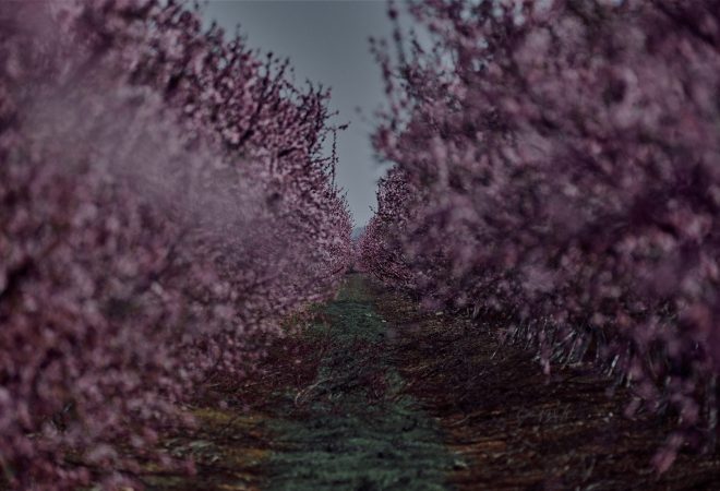 Apercevoir le bout du Chemin