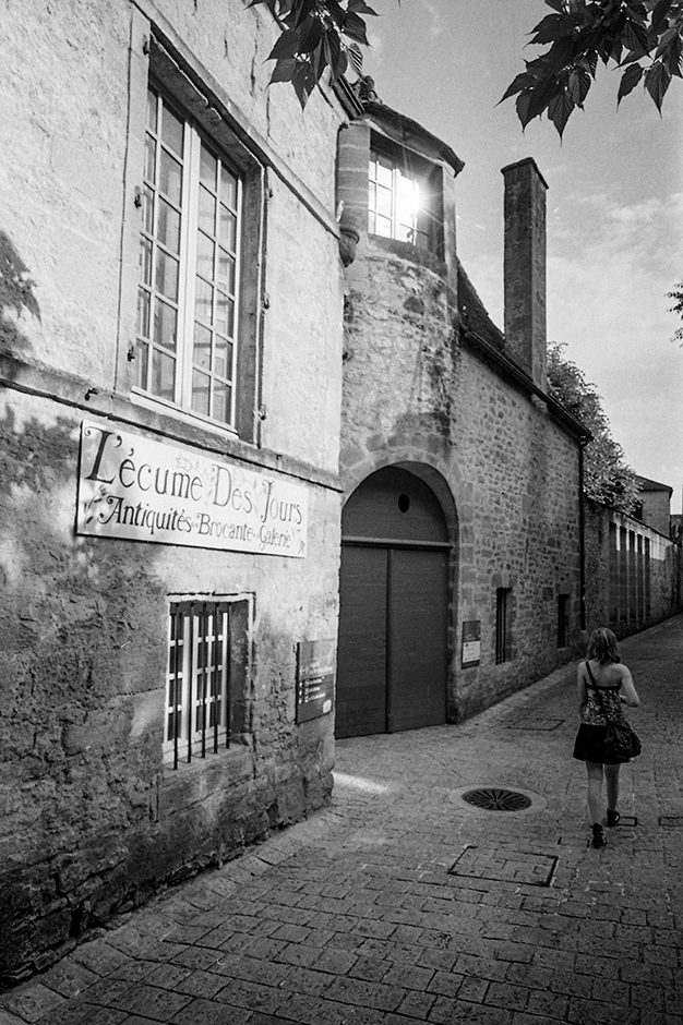 L’écume des jours