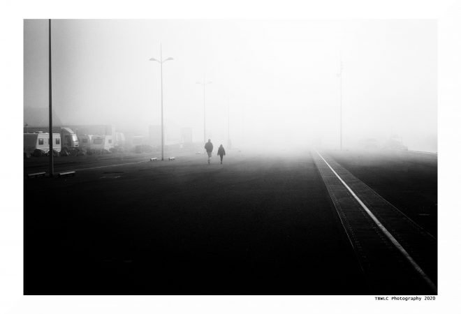 Dans Les Traces Du Poulpe