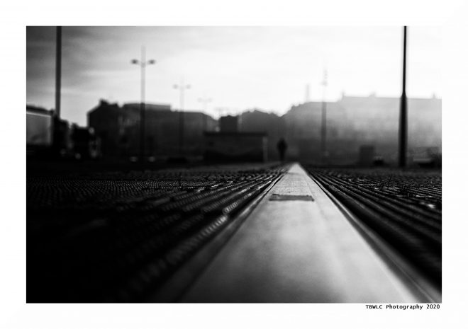 Dans Les Traces Du Poulpe