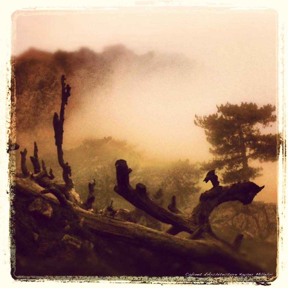 Brume aux aiguilles de Bavella – Le timelapse qui va avec : http://youtu.be/cM2VLzR1DFE