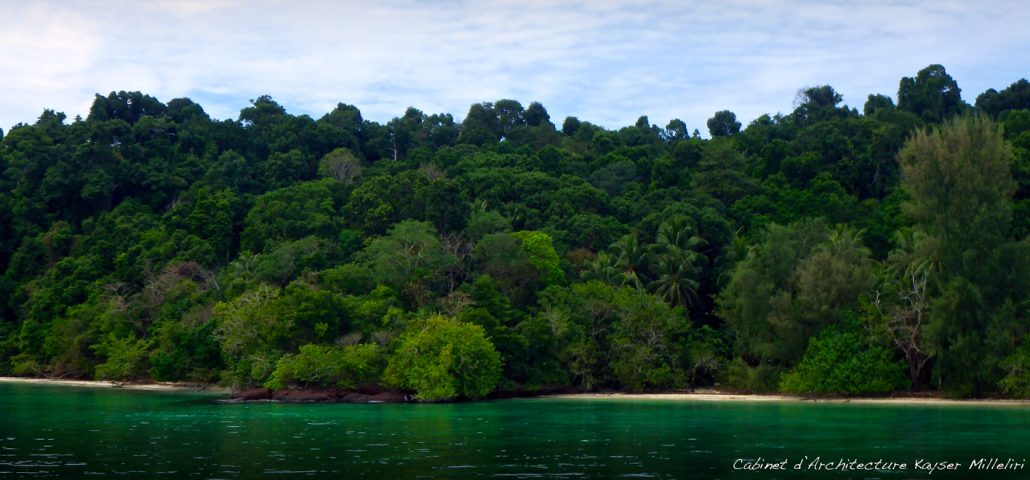 Mangrove à Koh Lanta