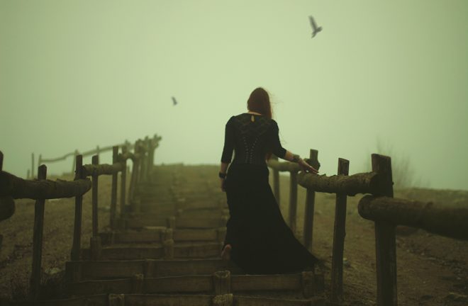 Des printemps sans hirondelles