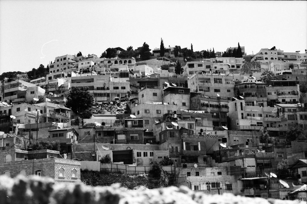 palestine reportage 2012