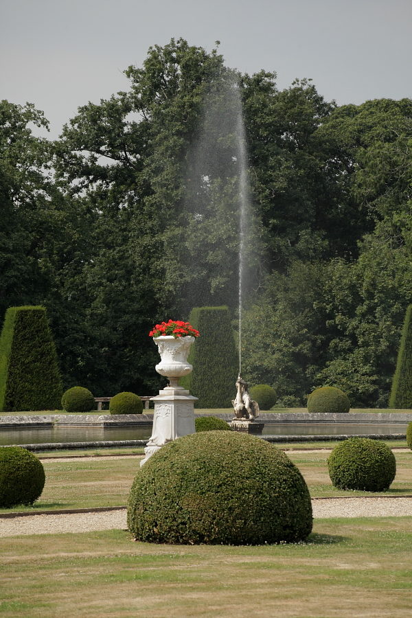 GERANIUM NOYÉ DANS LE VERT
