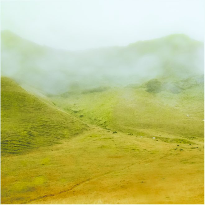 Vague à l'âme et petits moutons