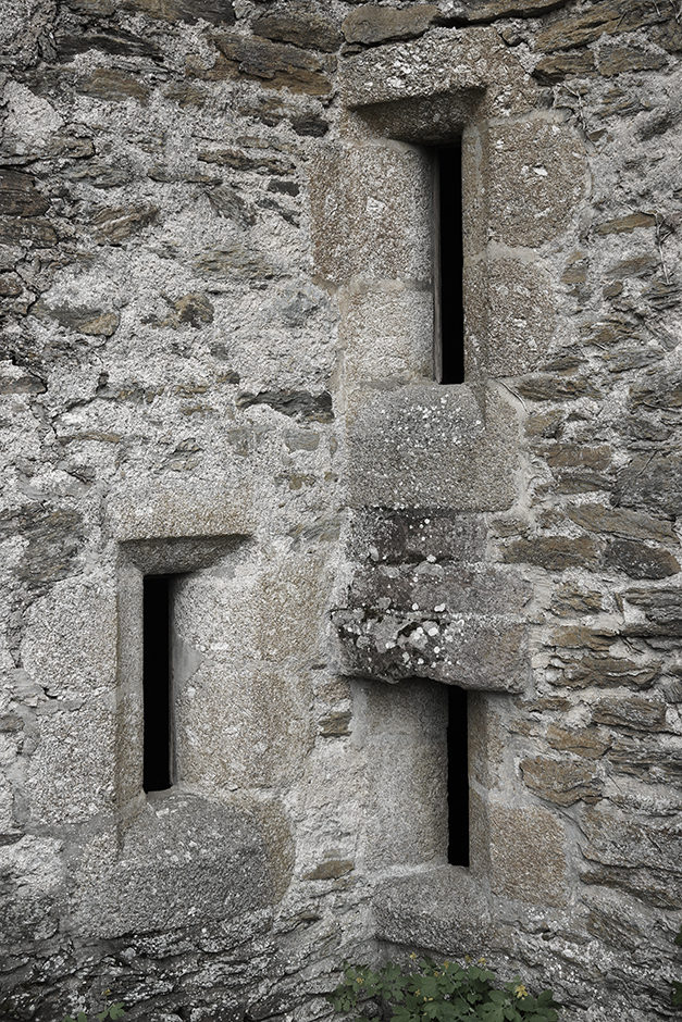 Chateau de Vieillevie (15), détail