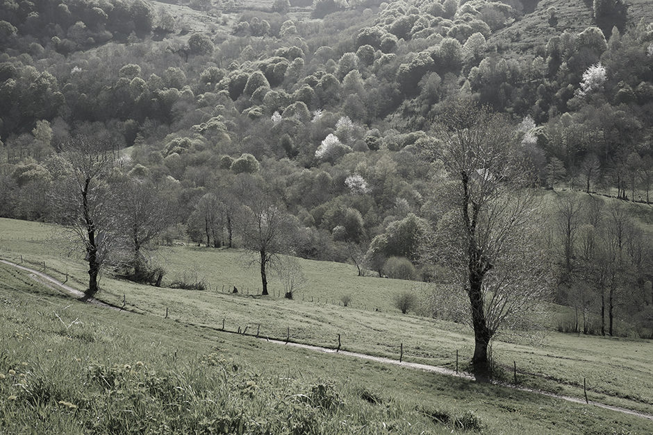 Paysage du Cantal autour de Thiézac