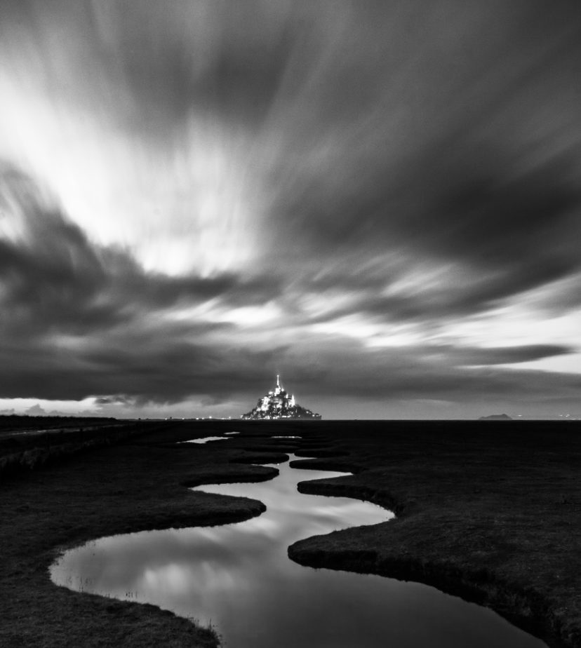 Un serpent dans la baie