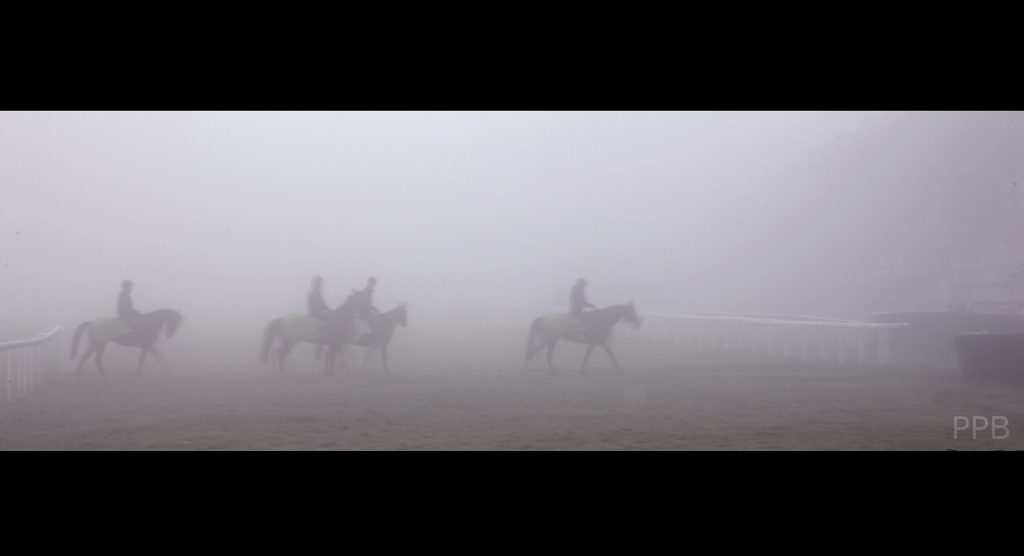 Chevals dans la brume