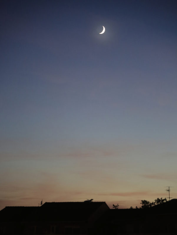 Lune à l’aurore