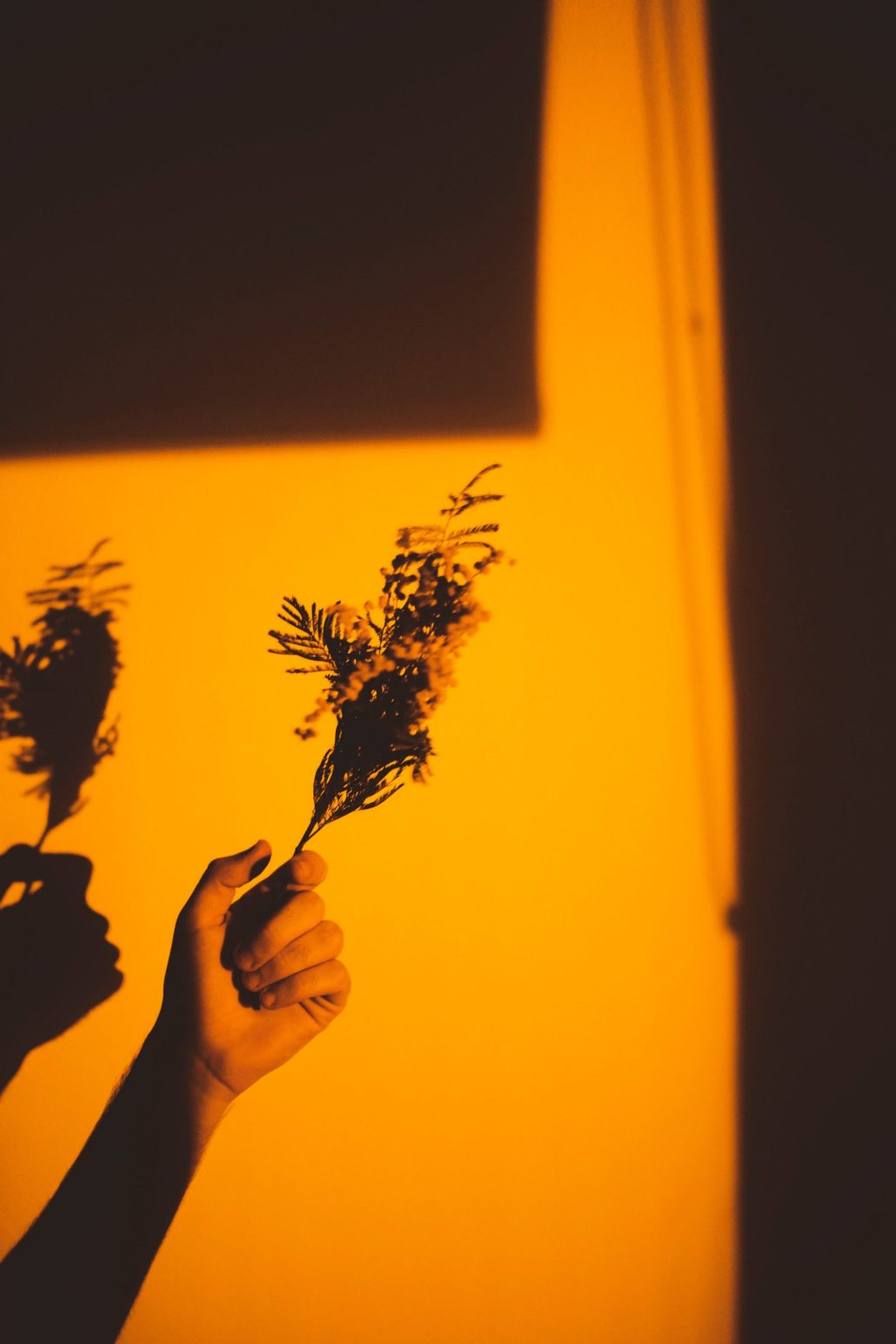 Freedom in quarantine