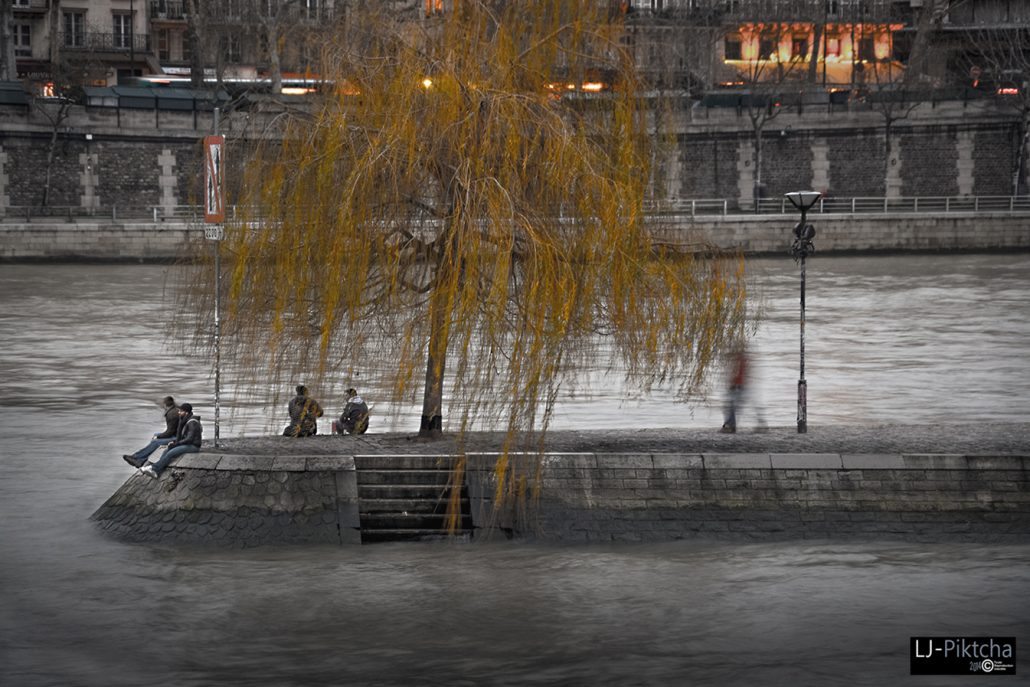 Paris-Sous l’arbre-Les quais.