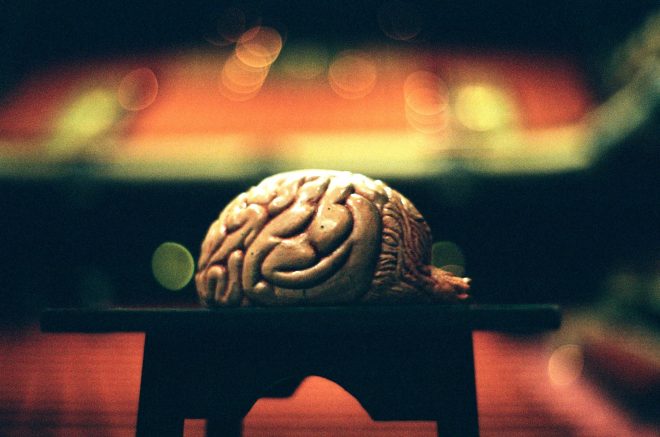 Un cerveau et son public.