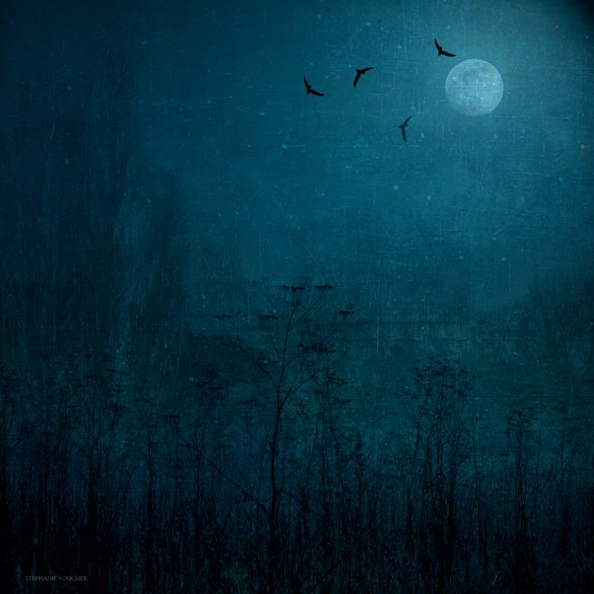 Des brumes & des rêves