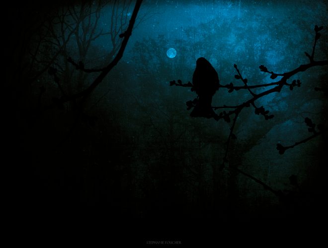 Des brumes & des rêves