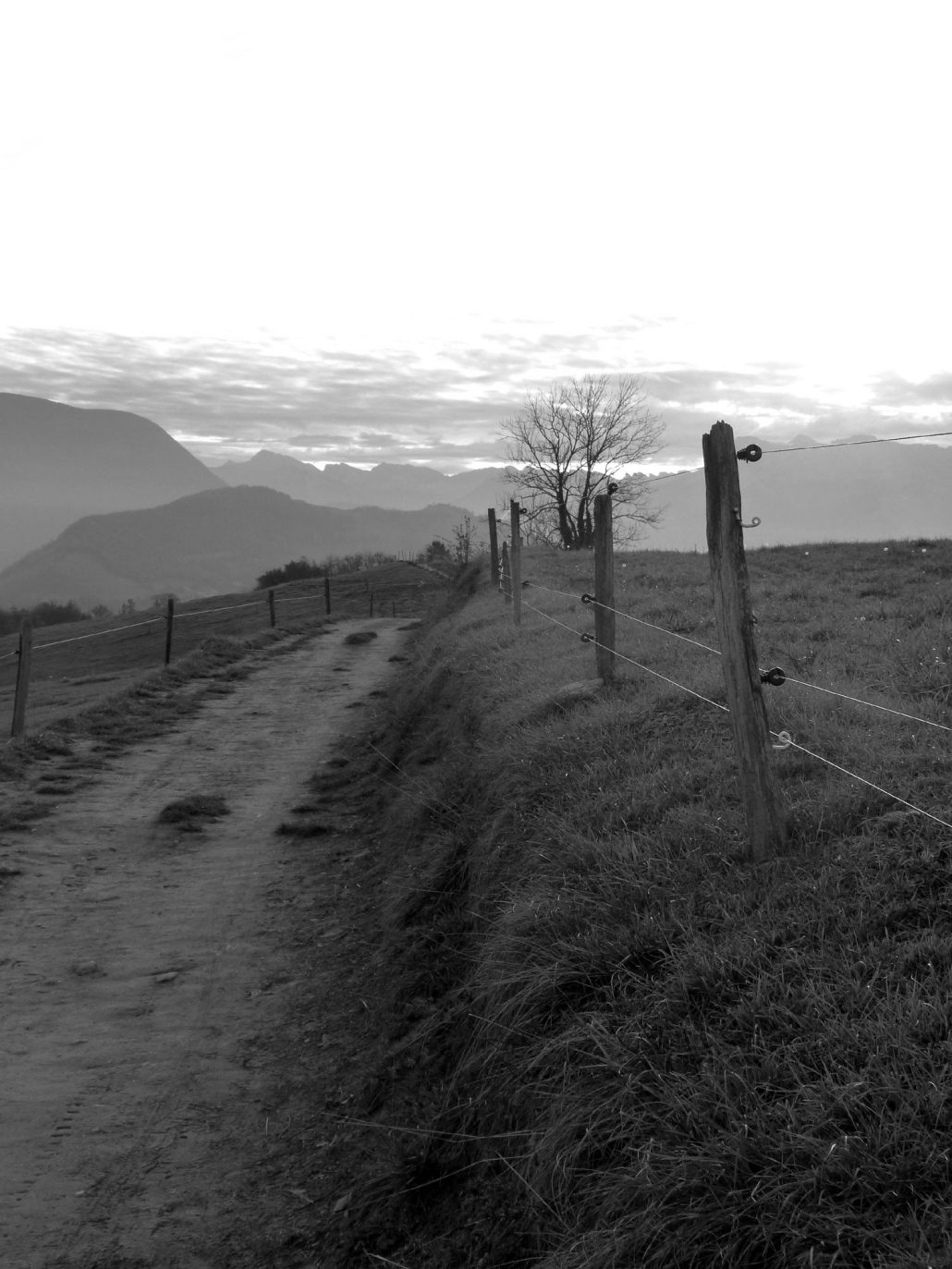 On ne s’aperçoit pas toujours que l’on parcourt chaque jour un nouveau chemin.   – Paulo Coelho