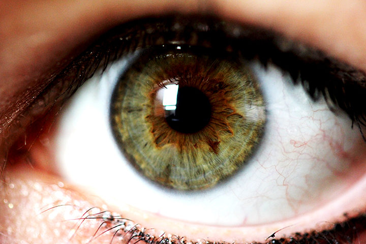 Tout est dans le regard