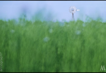 Le champs des possibles