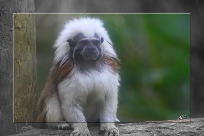 Safari discovery IMG - 3399-2