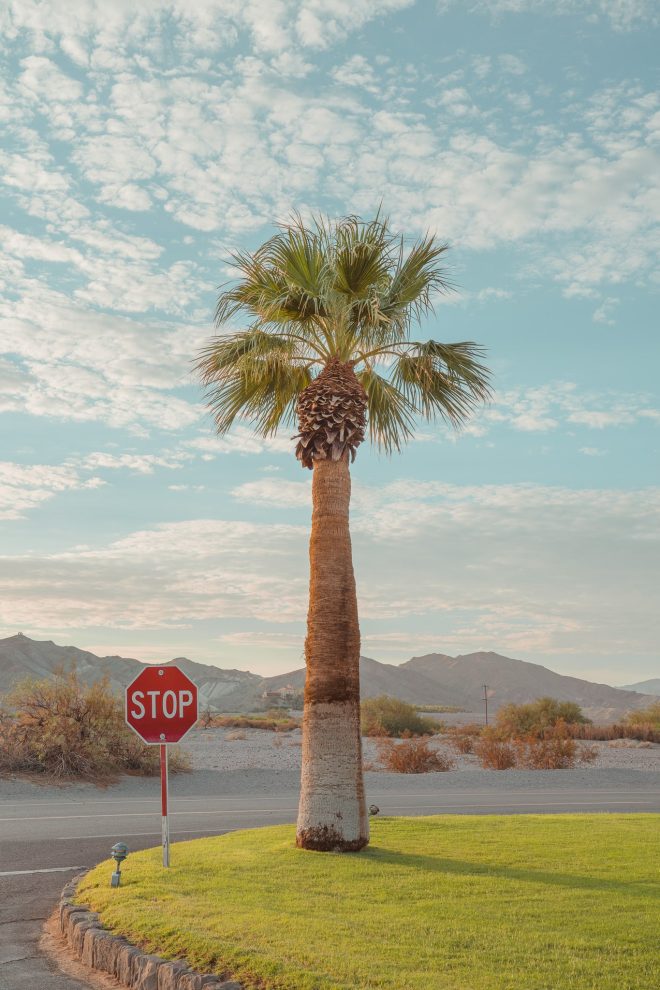 Stop at the Oasis Death Valley