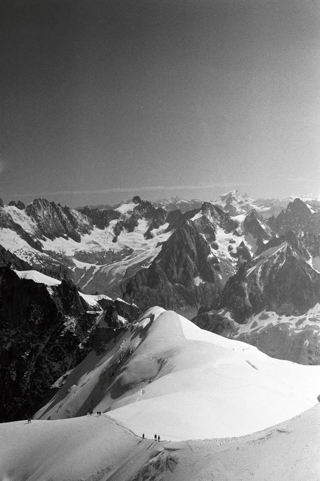 paradis blanc et noir