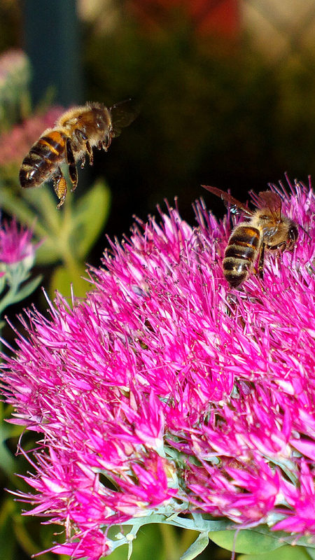 Attention…J’arrive!