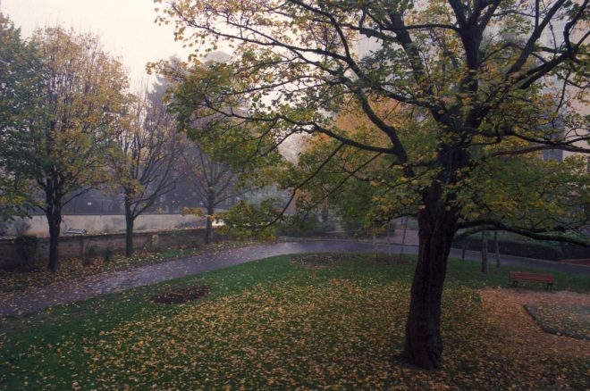 C'est presque l'hiver