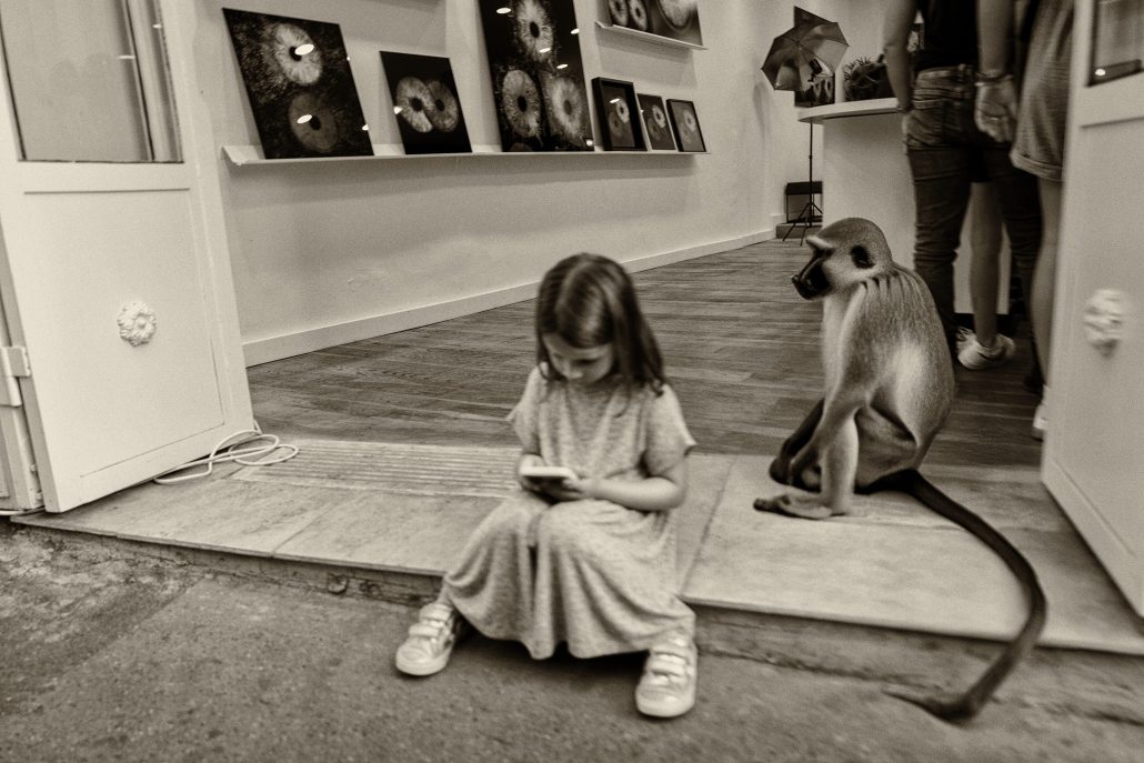 Extra-vaguances : Le Babouin.