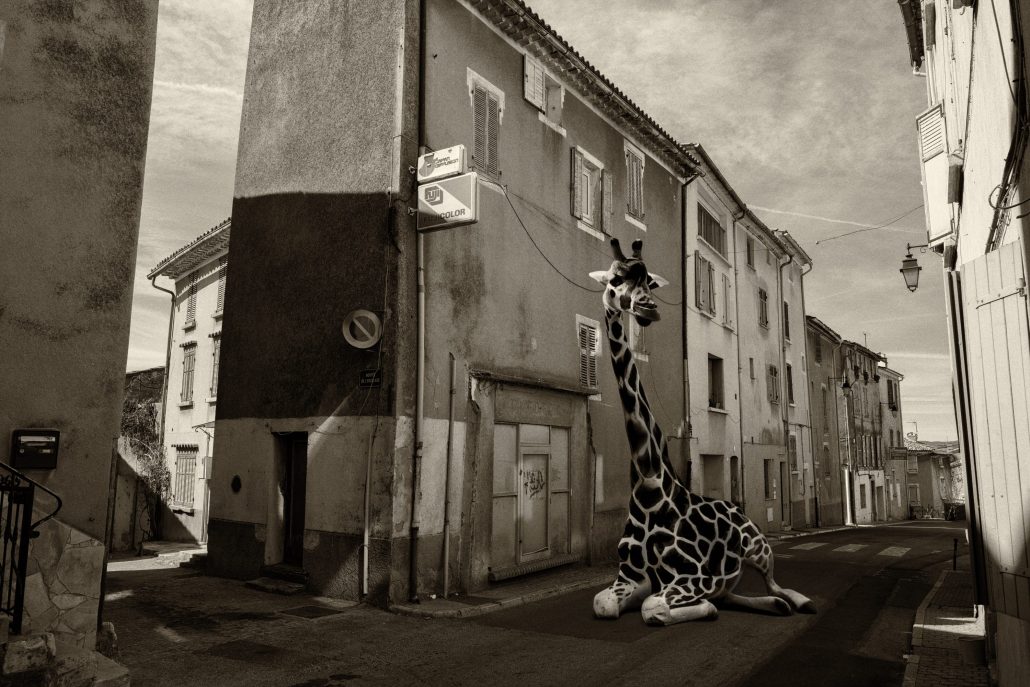 Extra-vaguances : La girafe