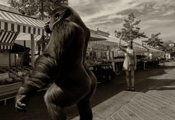 Gorille marché