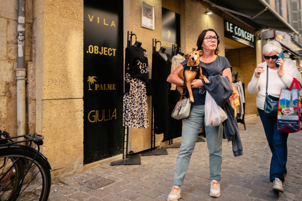 These dogs that will never walk on the ground again.