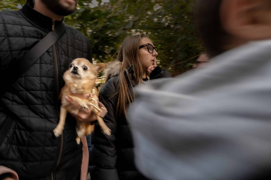 These dogs that will never walk on the ground again.