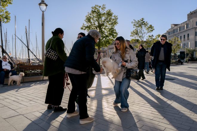 Des chiens et des hommes