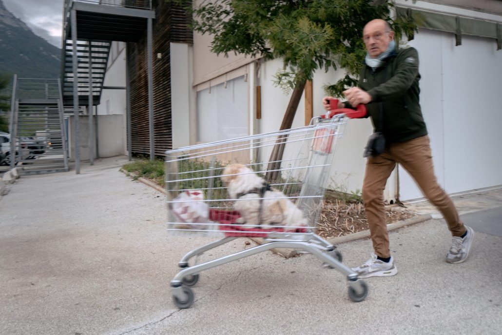 Des chiens et des hommes