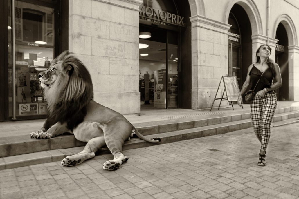 Lion monop.