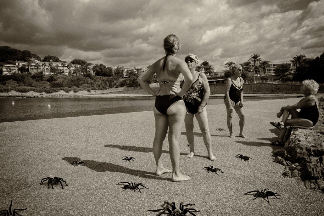 Extra-vaguances : Les Mygales.