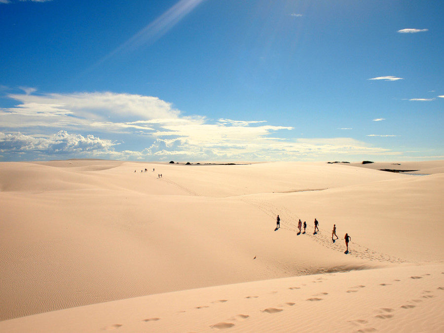 TAKE A WALK ON THE WILD SIDE