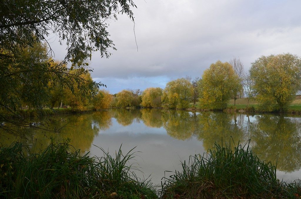 Etang de St-Martin (86)