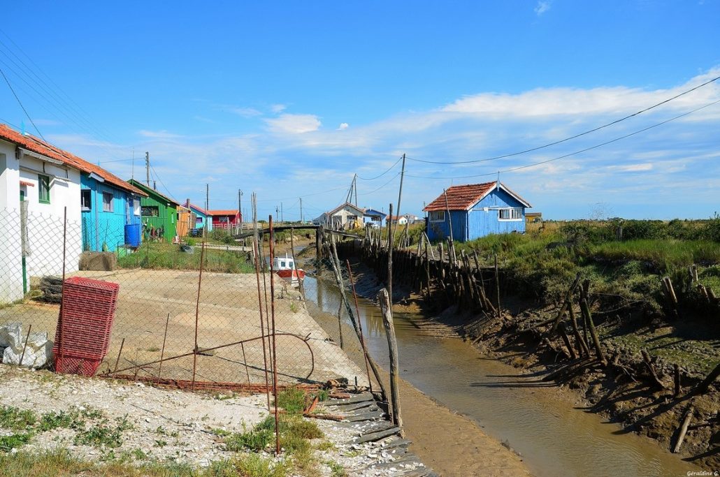 Sur la route des huîtres (Ile d’Oléron)