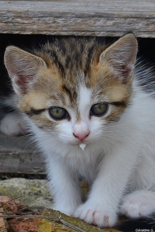 encore une p’tite frimousse !!