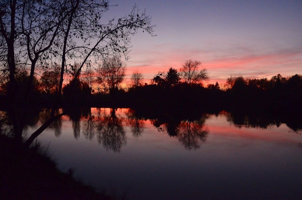 Etang de St-Martin (mirebeau 86)