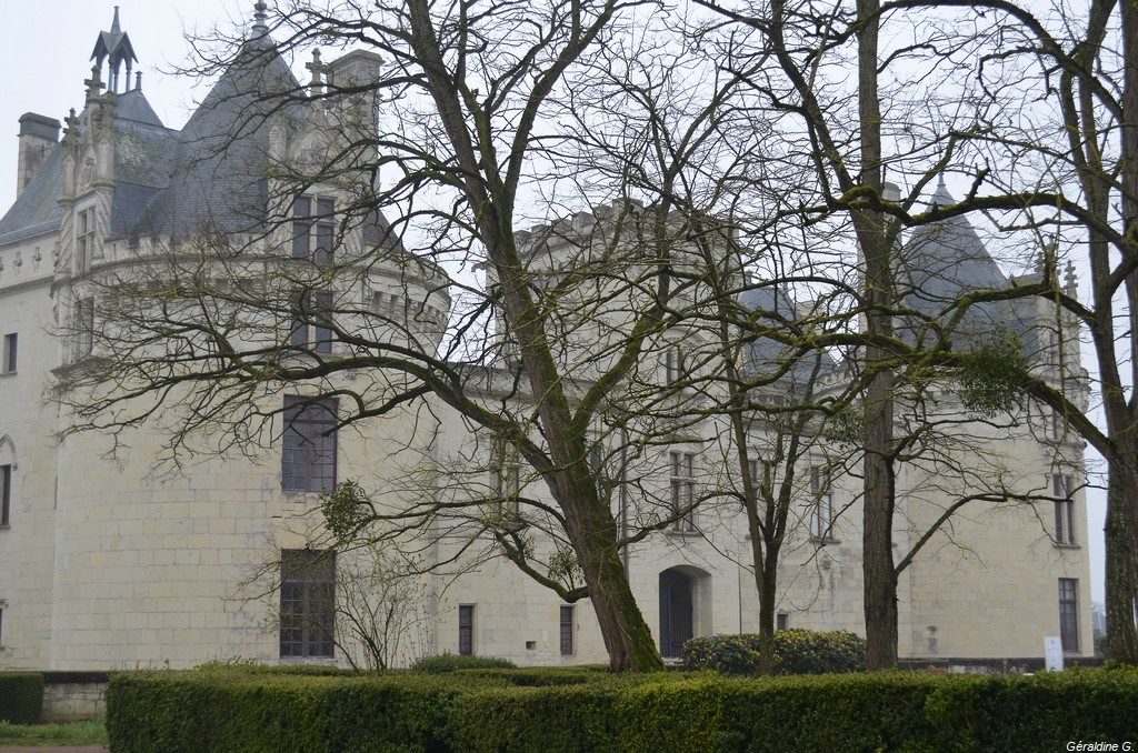 Château de Brézé (49)